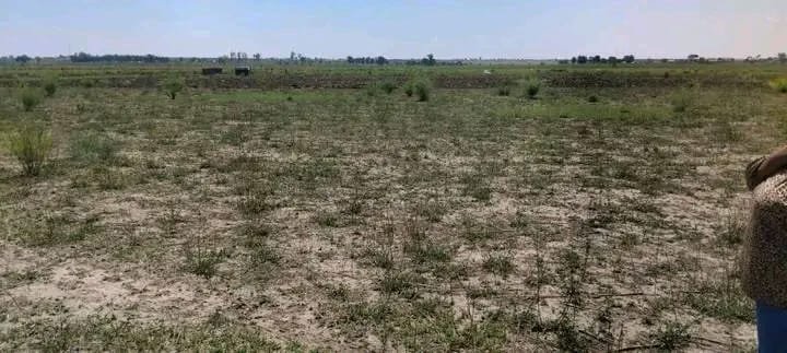 Commercial Property for Sale in Koppies Free State